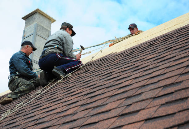 Best Roof Gutter Cleaning  in Maroa, IL